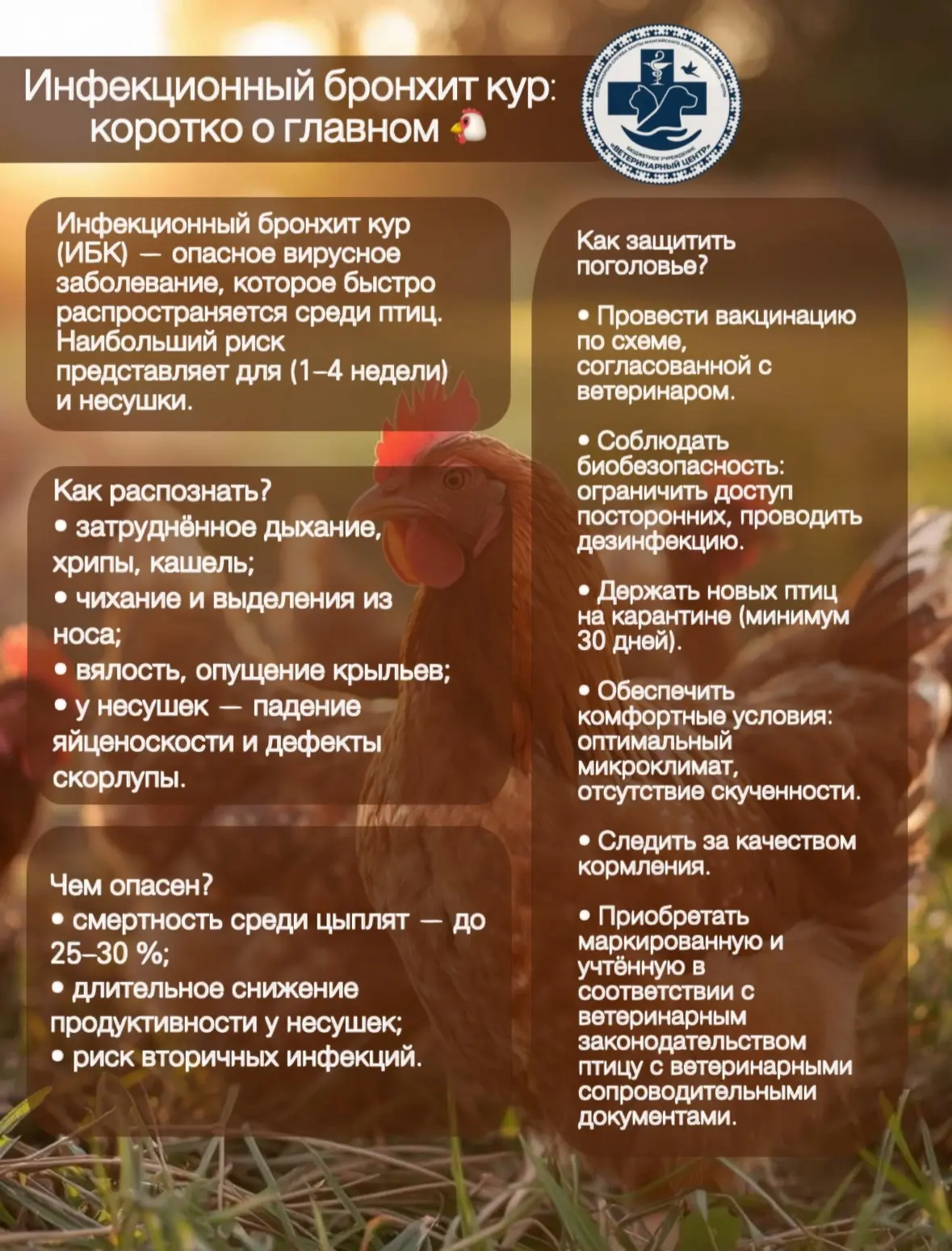 Берегите своих пернатых подопечных! ❤️