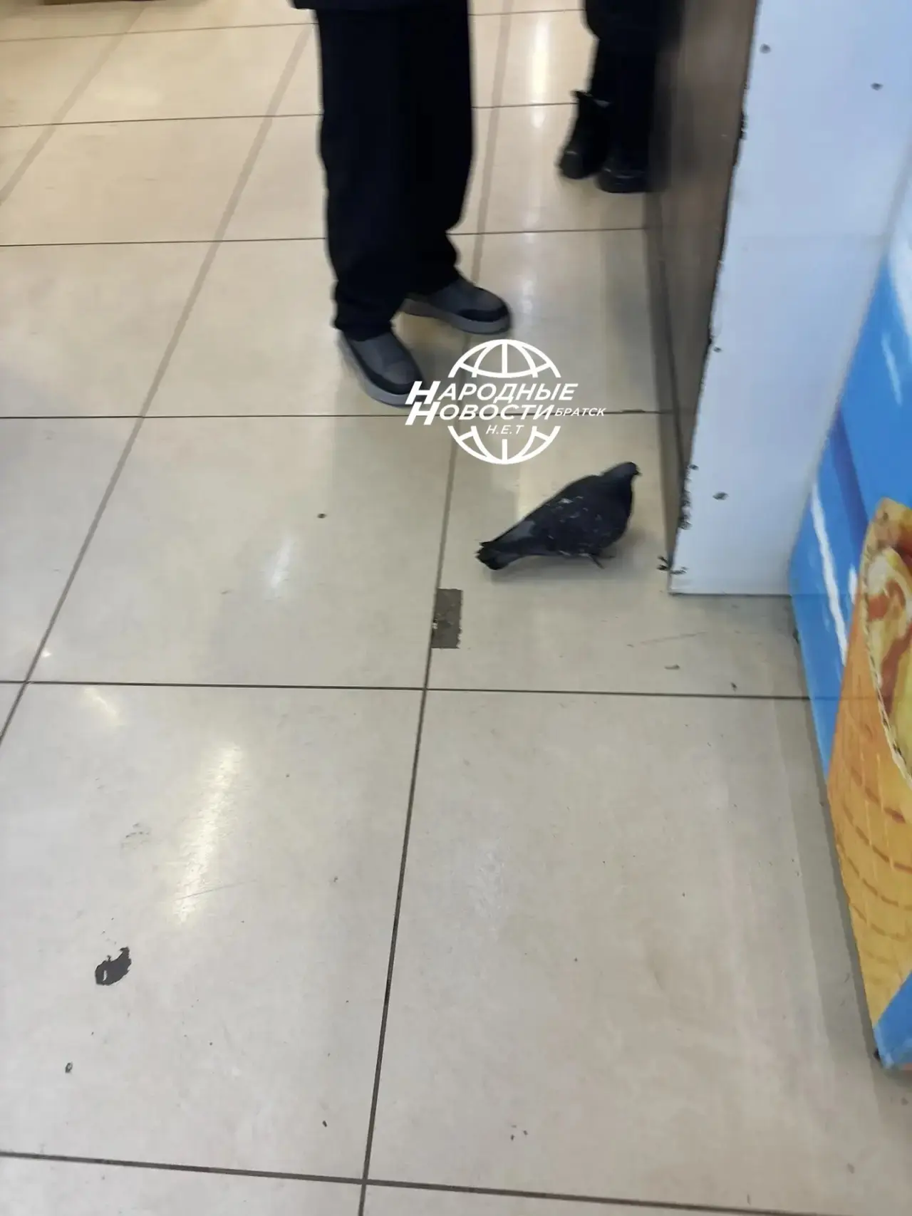 Здравствуйте Уважаемые Нн, походу к нам в магазин пришёл новый посетитель!😅😆
