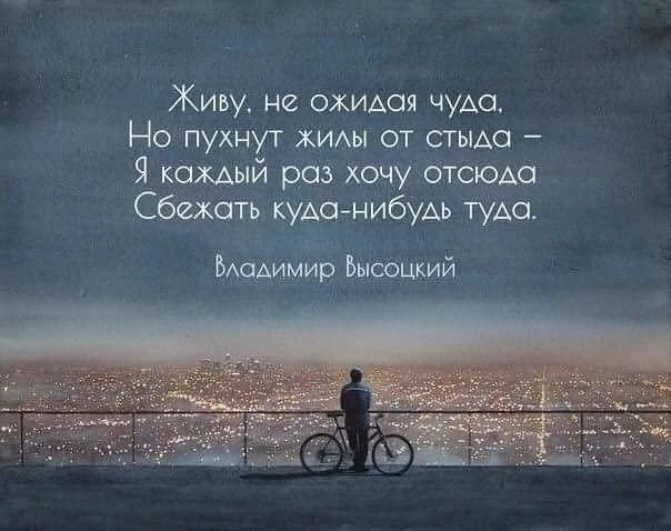 Смысл в каждой фразе — Подпишись