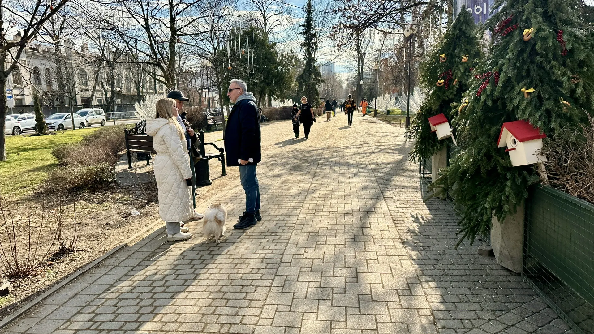🫣Вот такой у нас февраль. Зима конечно тяжёлая, но мы держимся)))  ❤️Хорошего дня!