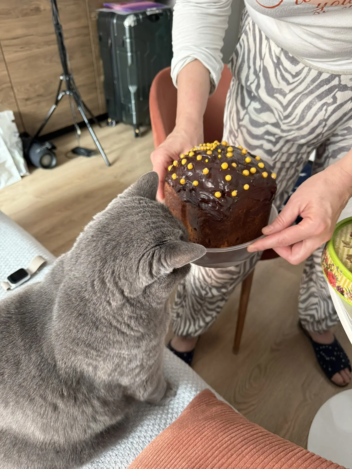 Смотрите какой красивый кулич испекла мама! 🧁 Буся уже затестила)