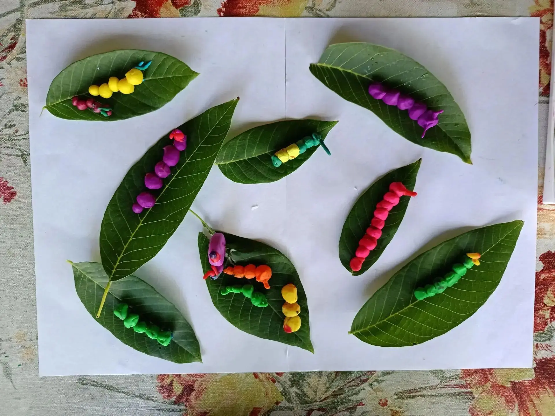 Лепим весёлую гусеницу!🍃🐛
Сначала поговорили о том, что гусеница — это будущая бабочка, а потом пр