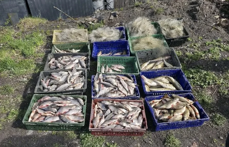 🐠В Белозерском округе Вологодской области сотрудники транспортной полиции пресекли незаконный лов р