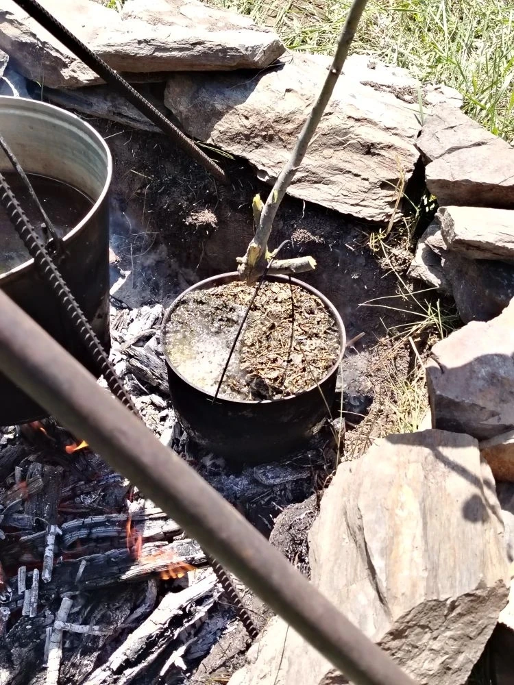 А вот и улов, и карымский чай, и бухлер сварили, да на костре! 🔥

Ни с чем не передаваемые вкусы и 