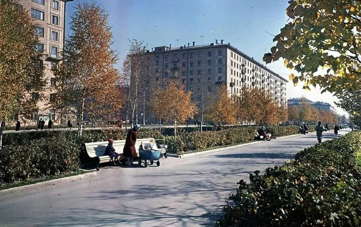Осень на Университетском проспекте.