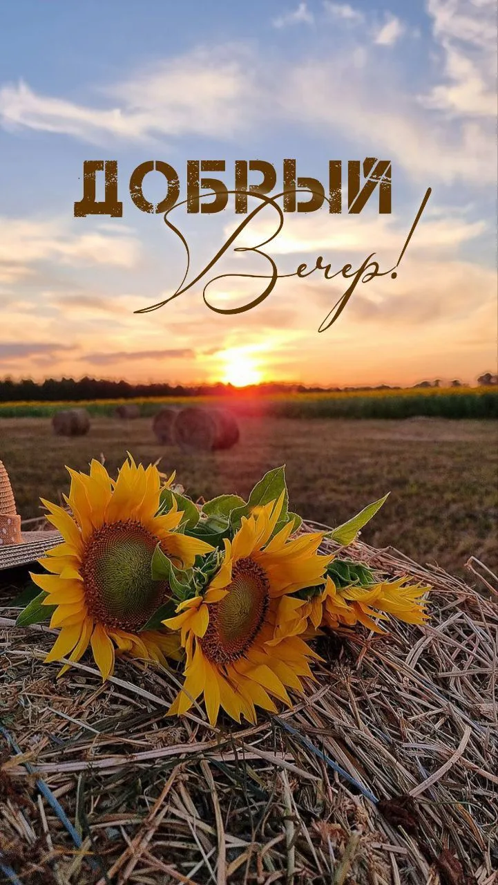 Добрый вечер!
