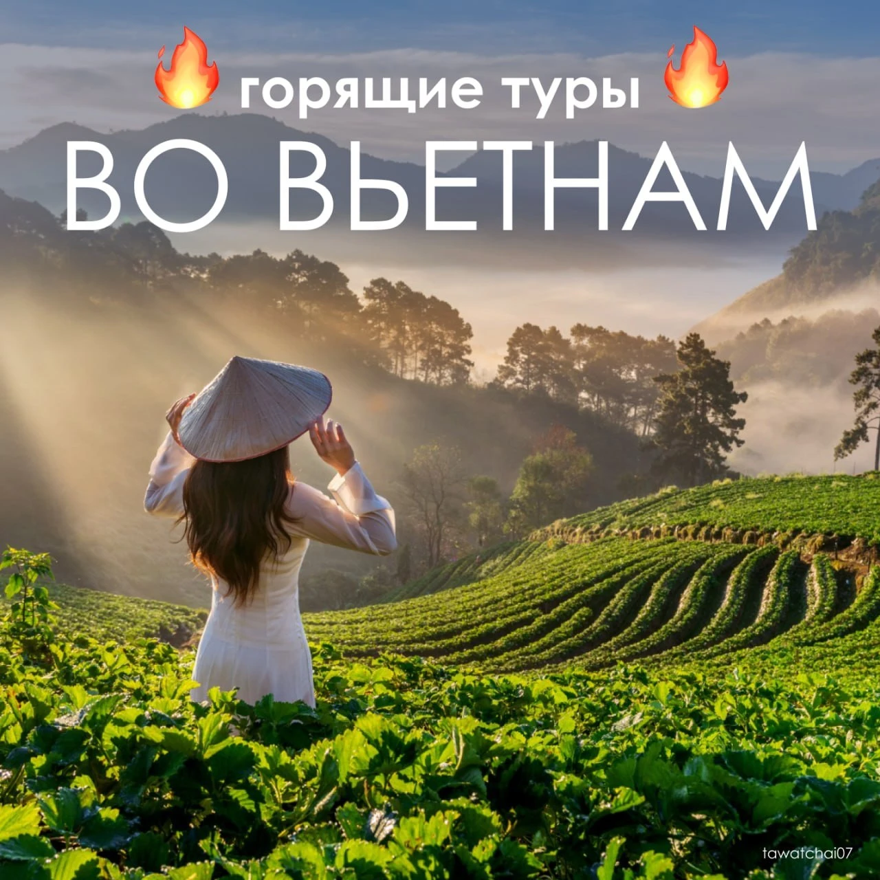 🔥 ВЬЕТНАМ УСТРОИЛ НАСТОЯЩИЙ ЦЕНОПАД!