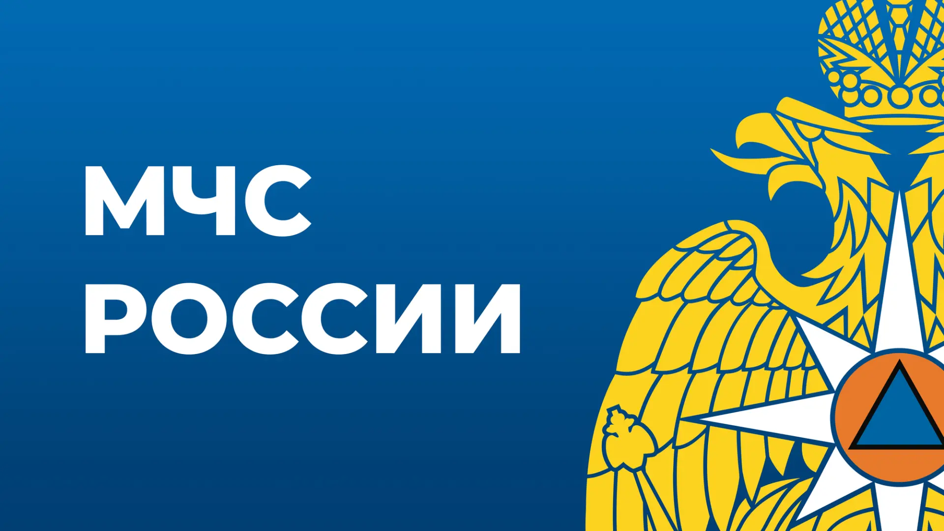 Двое детей были спасены и девять взрослых эвакуированы огнеборцами на пожаре в Шерловой Горе 

❗Сего