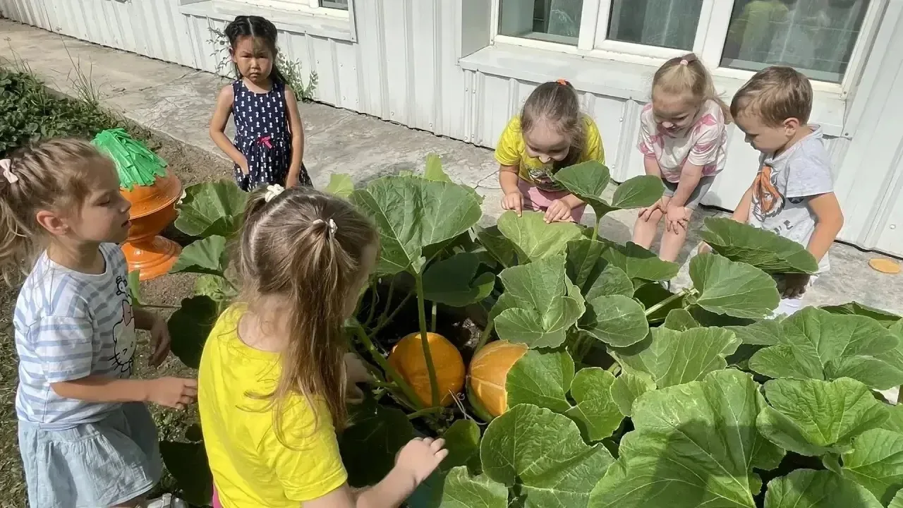 🌿«Огород на участке детского сада — это не просто грядки. Это живая лаборатория под от...