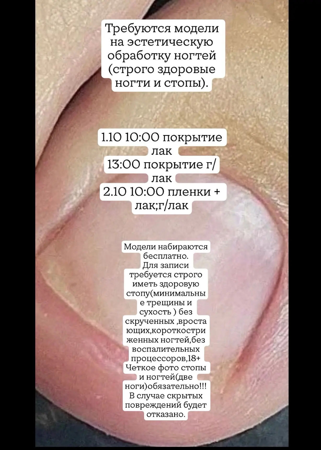 Требуются модели бесплатно!
