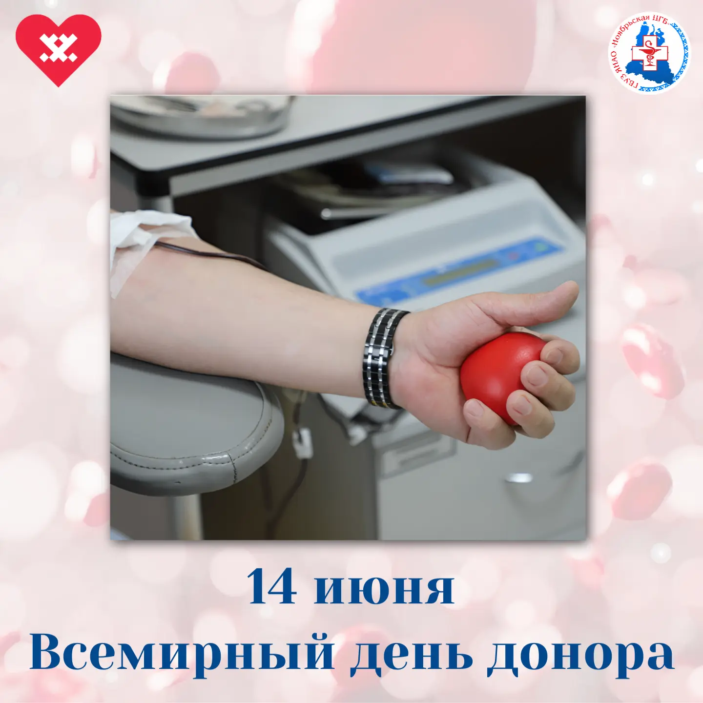 ❤️В Ноябрьске зарегистрировано более 2 тысяч активных доноров. Из них более 300 человек имеют звание