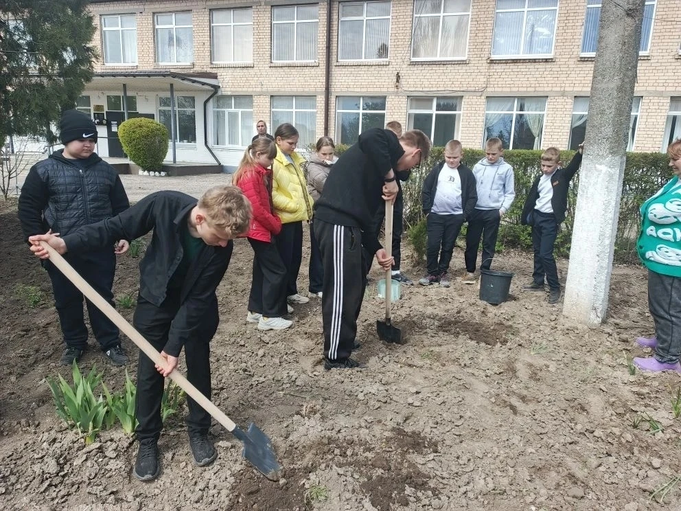 Подарок любимой планете! 🌍🌳