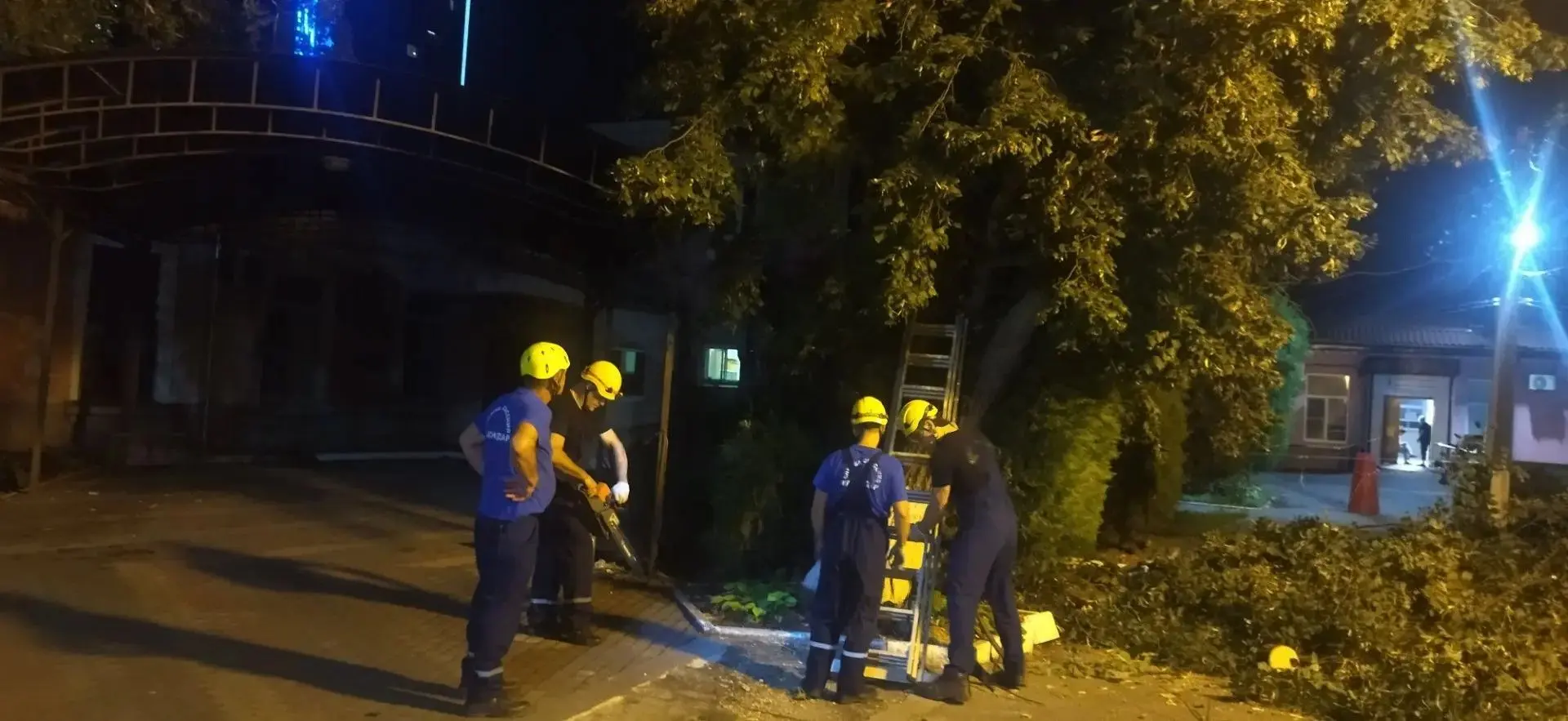 Спасатели с помощью вышки и бензопилы спилили дерево, находившееся в аварийном состоянии.