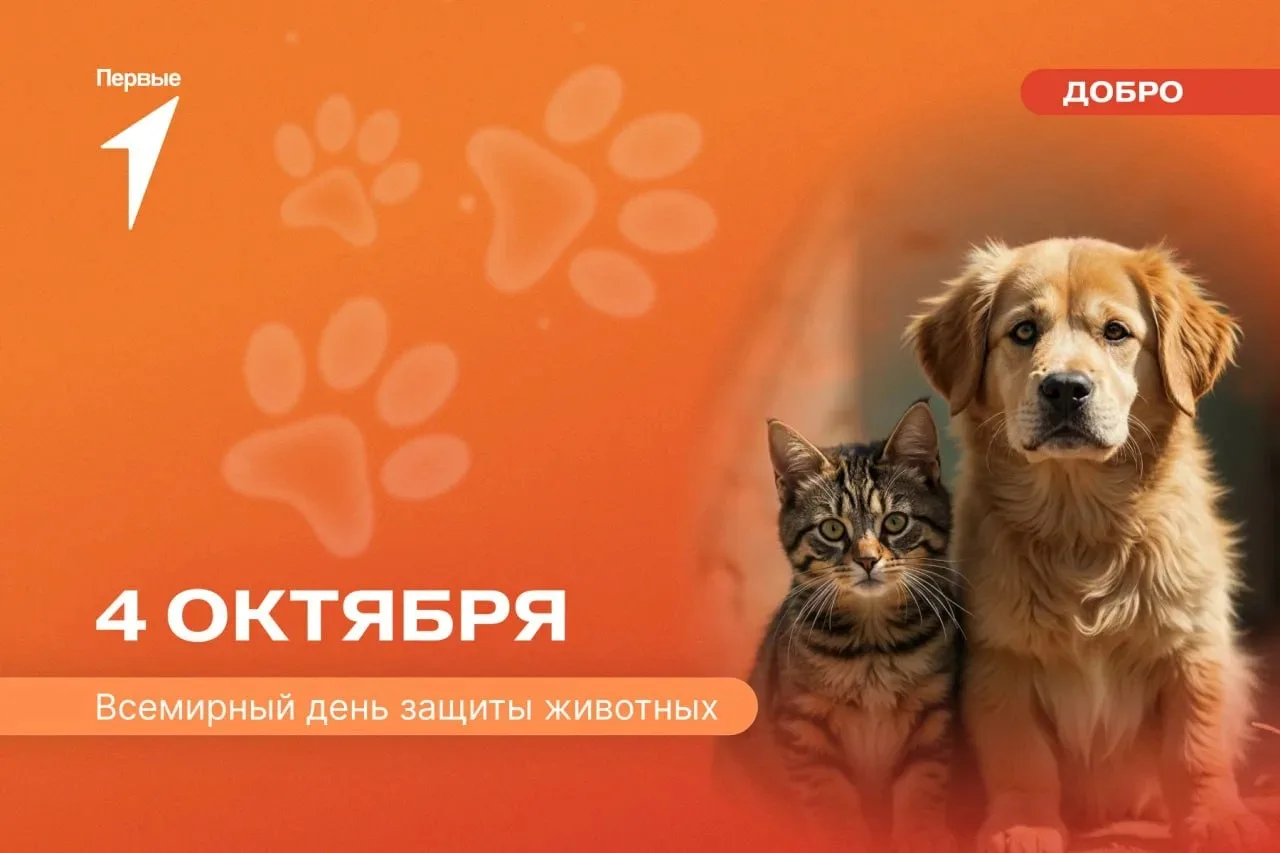 🐕4 октября, во Всемирный день защиты животных, хотим напомнить: сострадание должно быт...