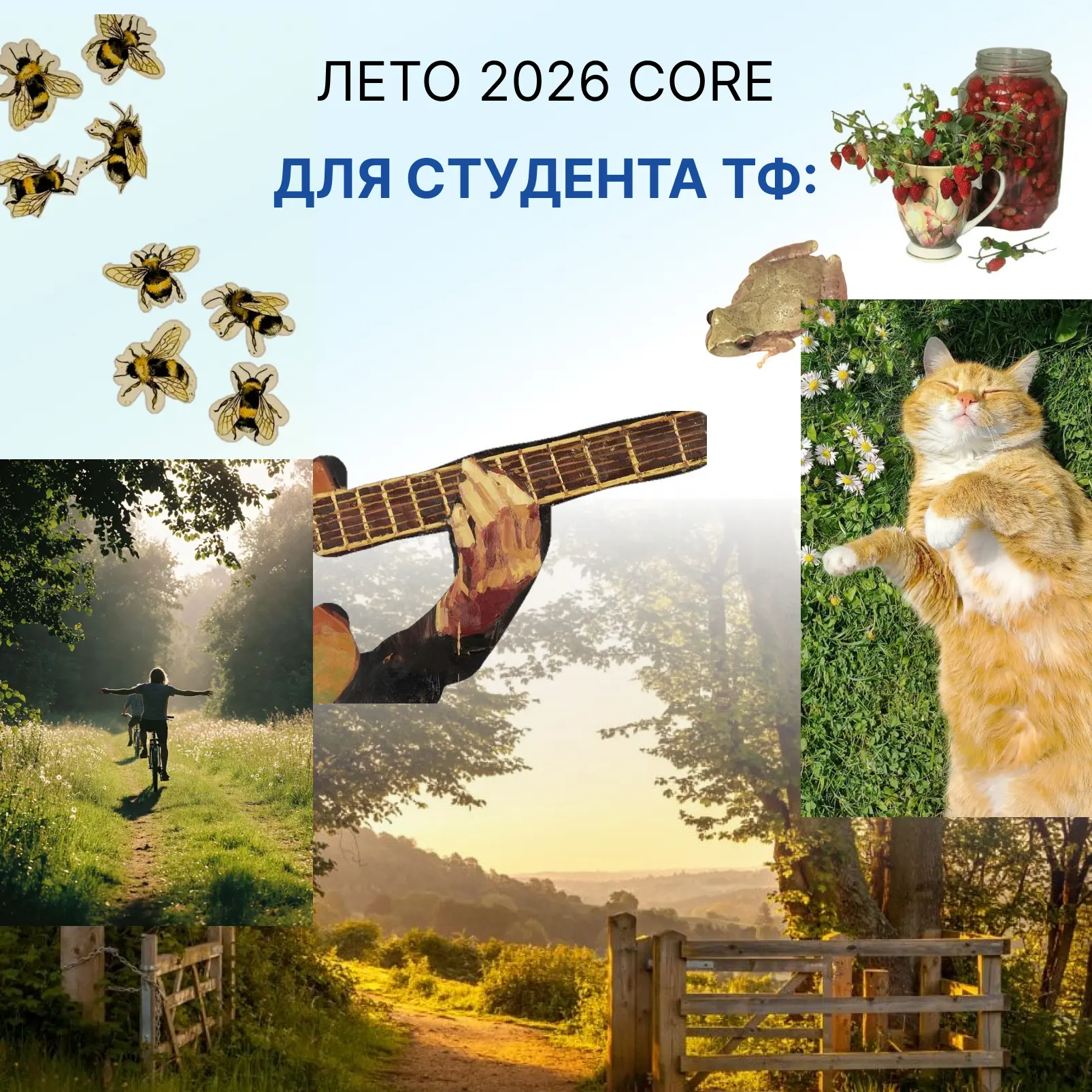 Лето — время, когда студенты наконец-то могут забыть про конспекты… хотя бы ненадолго.

Мы решили по