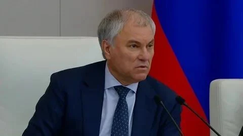 Упрекать депутатов за запреты неуместно, все законы принимаются только по запросу росси...