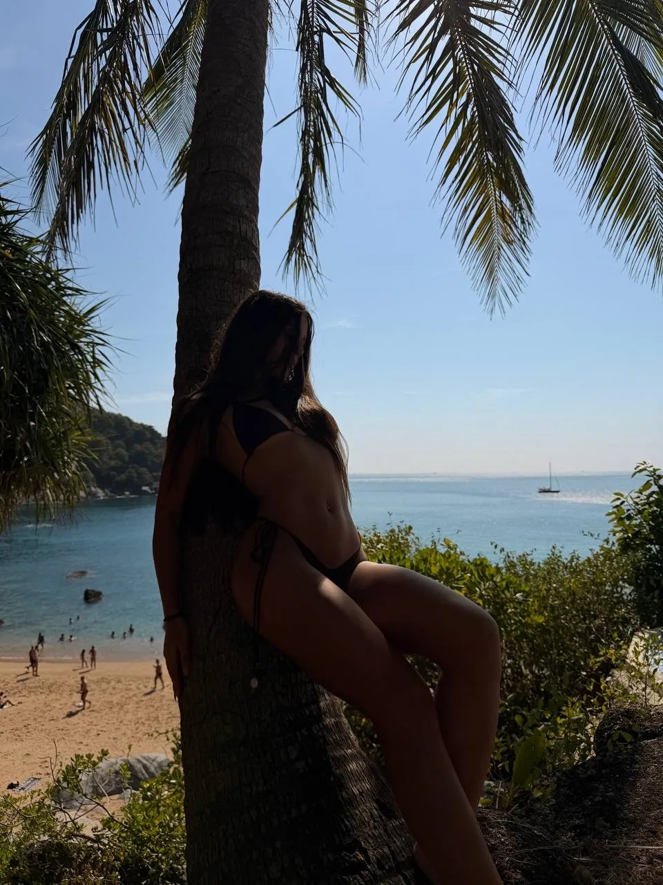 🌴🌺🌒✨🪼🏝️