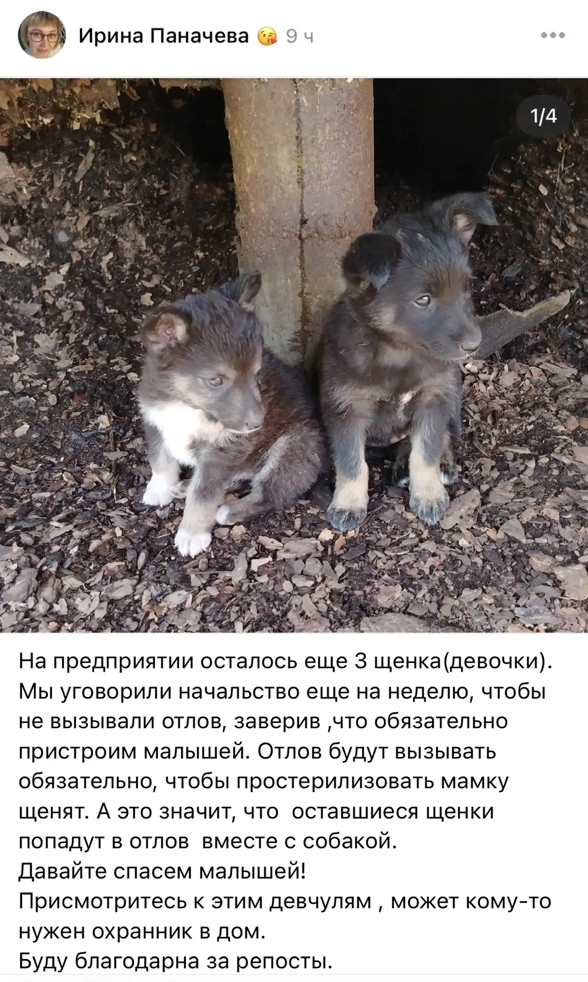 Потеряшки

"Присылайте нам свои новости"