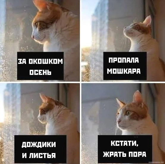 😅😅 Осень у меня такая
