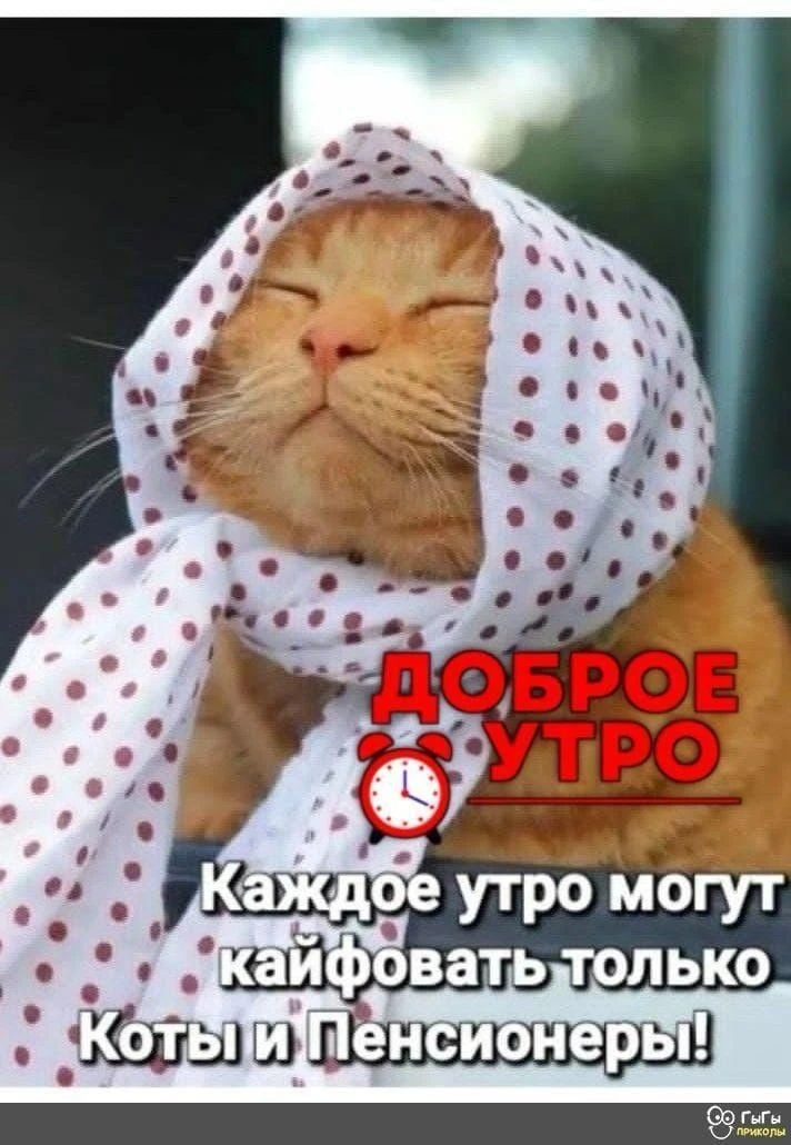 Доброе утро, Сиверский!