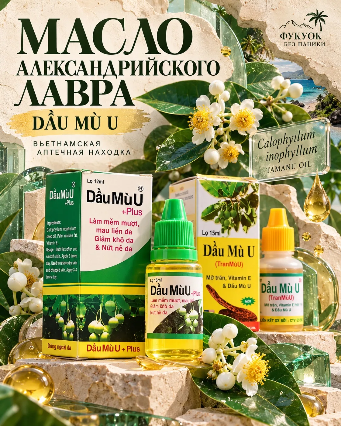 🌿 Dầu mù u: масло александрийского лавра