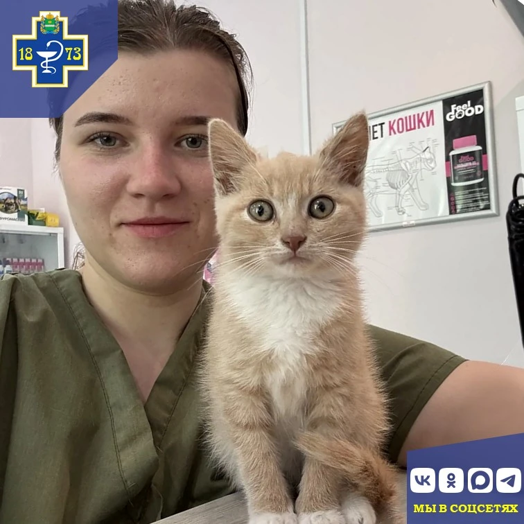 🐾 Ветеринарные будни специалистов Сухиничского отдела ГБУ КО "Сухиничская межрайонная ...