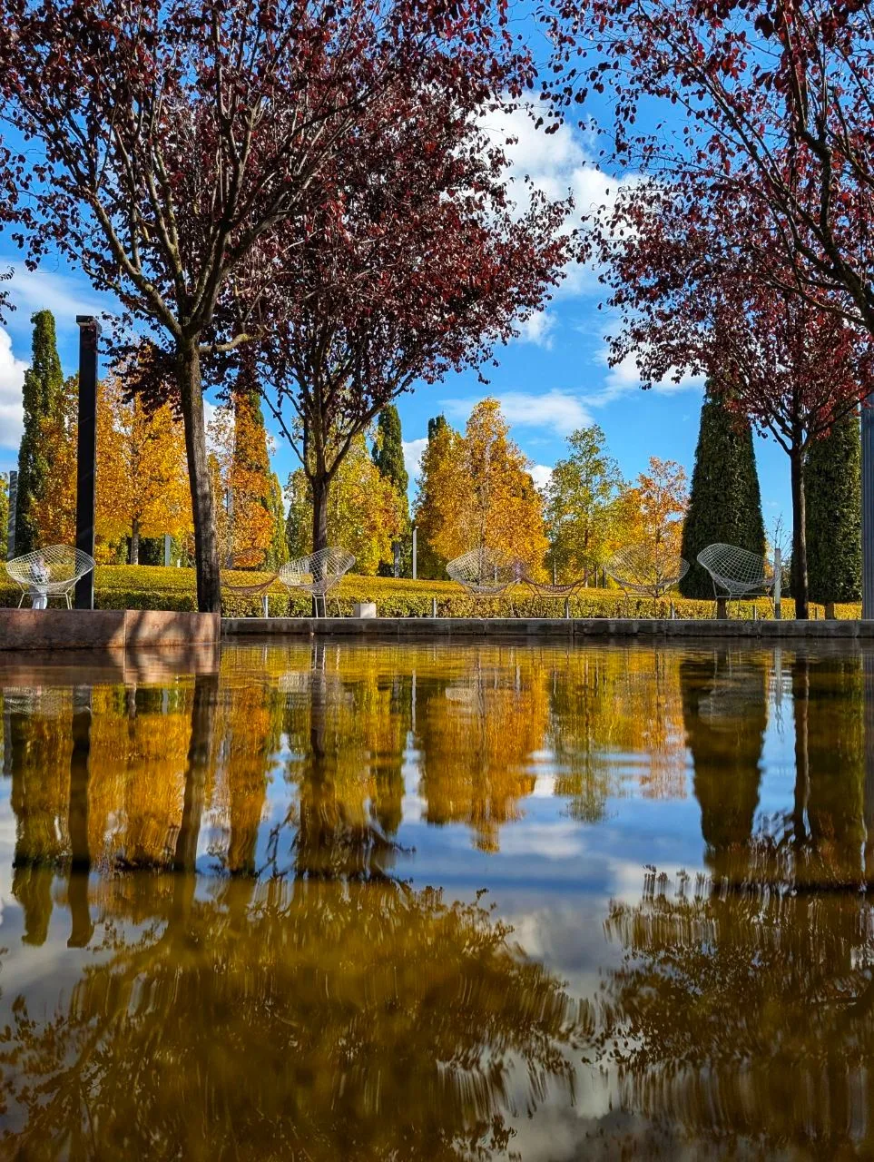🌳 Парк Краснодар