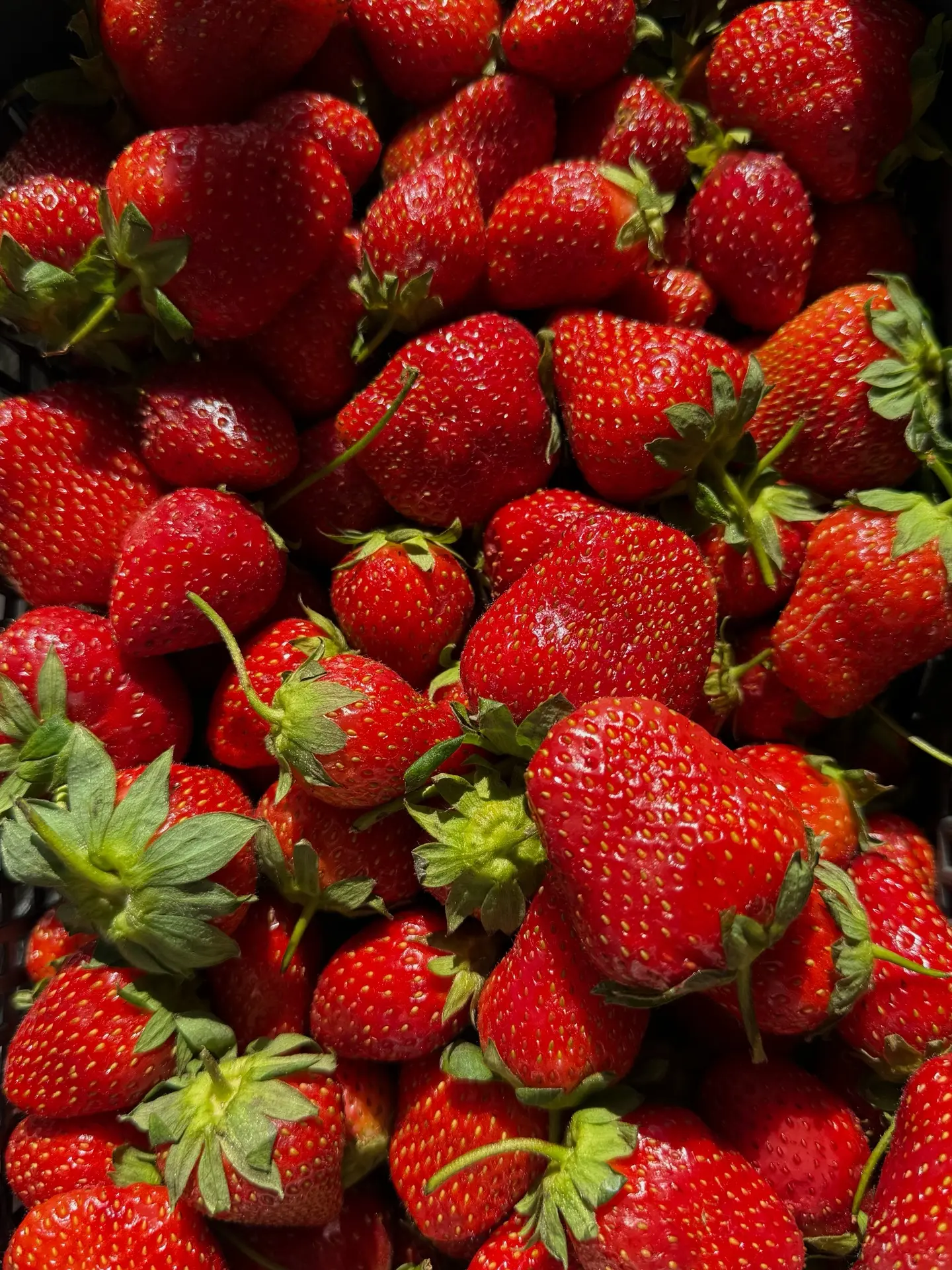 Ловите рецепт вкусного домашнего клубничного сорбета 🍓 очень быстро готовится, любимый наш с Тоней 