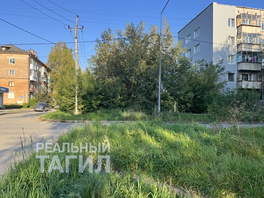 🚸 Школьники Вагонки вынуждены переходить дорогу там, где нет ни светофора, ни «зебры»