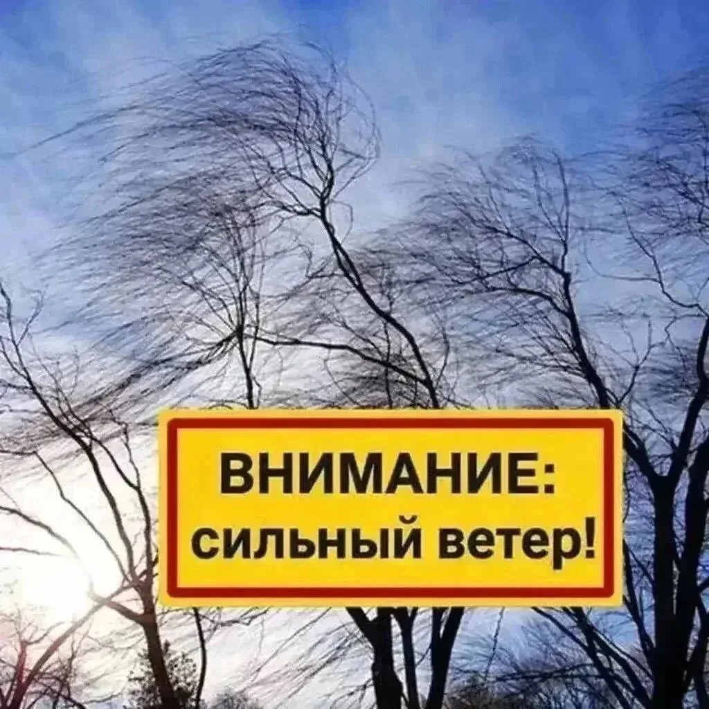 ❗️Уважаемые жители и гости Динского района!

💨 Сейчас сильный порывистый ветер. Во избежание несчас