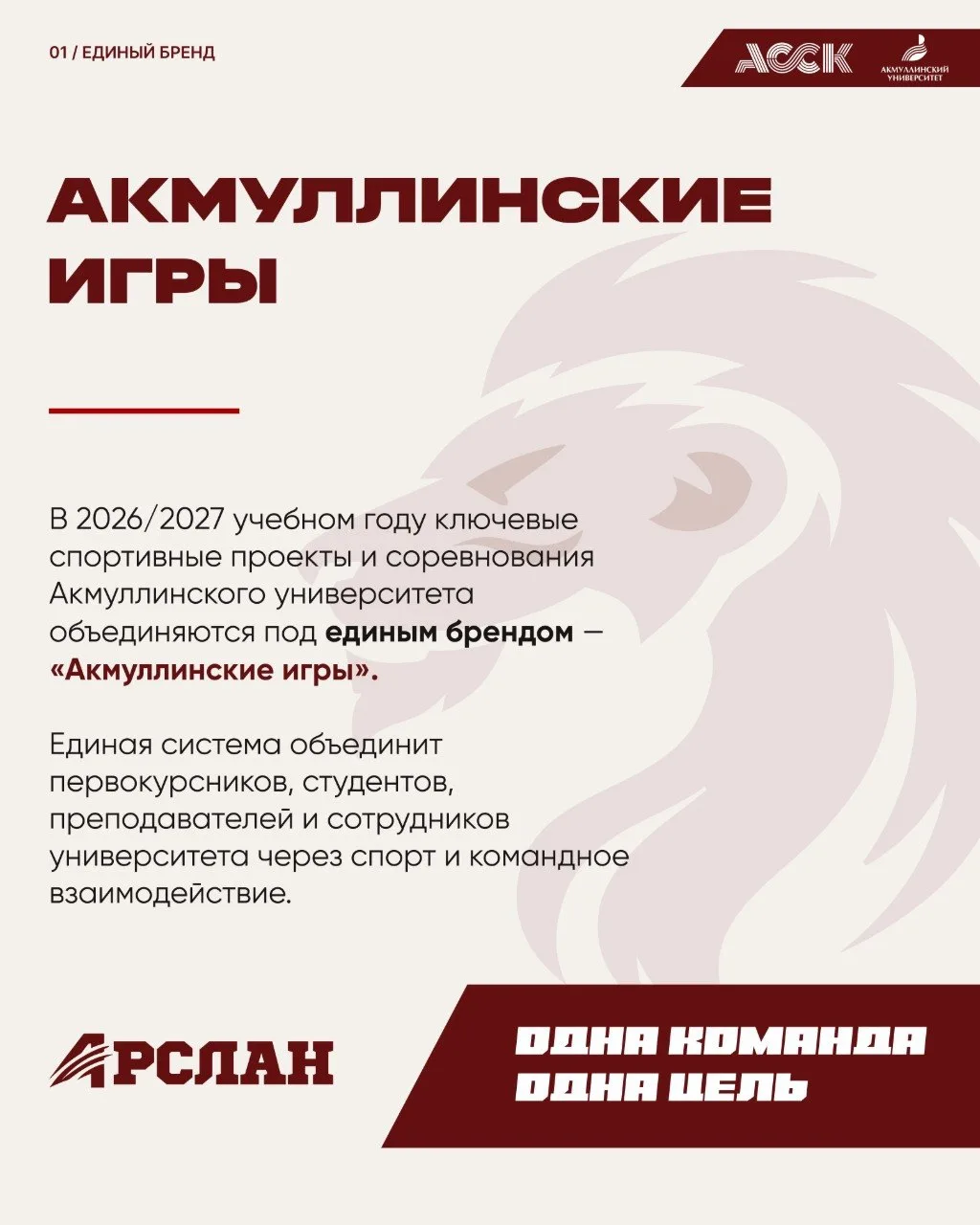 🦁Акмуллинские игры: новый сезон — под единым брендом!