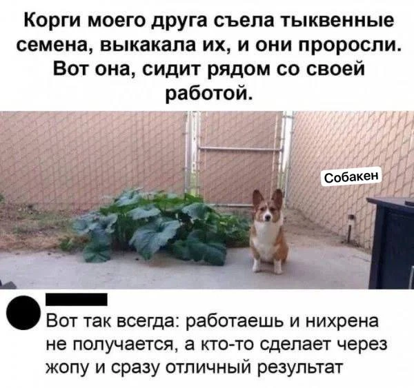 Талант не просрёшь 😂😂

Ай да Собачки 🐶  - подписаться

оживи фото - max.ru/оживифото