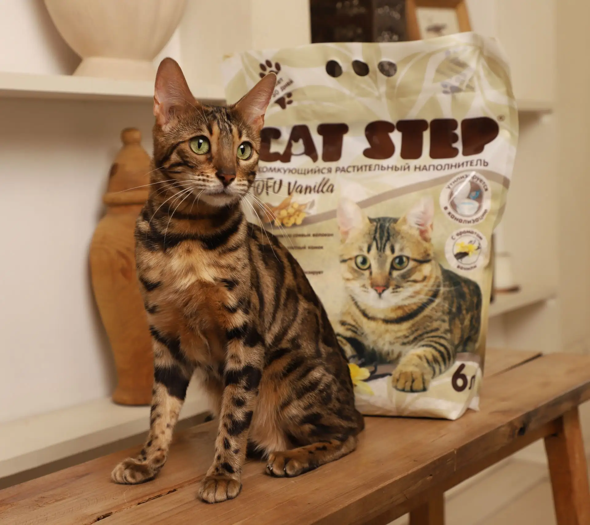 🍦 CAT STEP Тофу Ваниль/ Tofu Vanilla: нежная ваниль и безупречный комфорт
