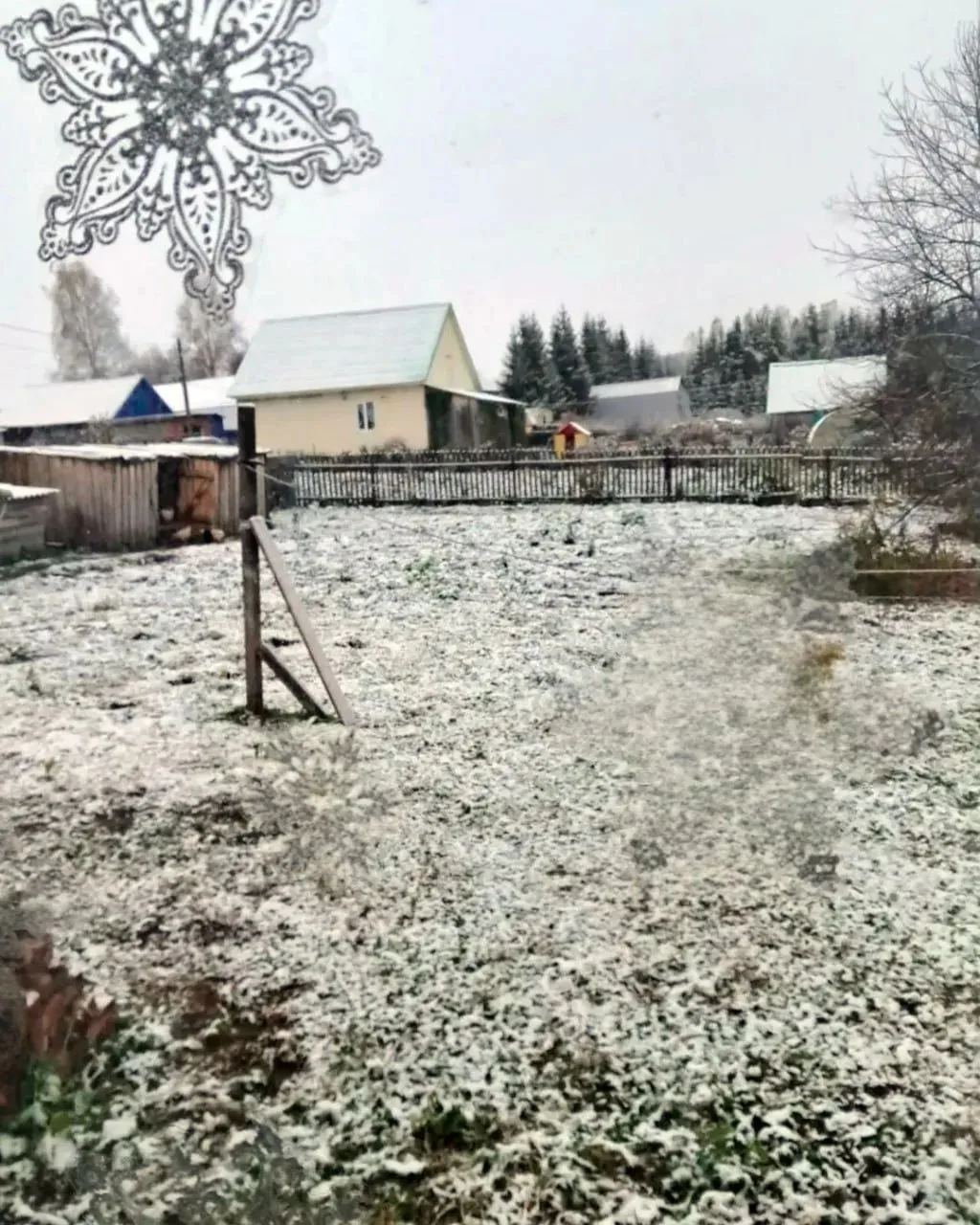 ❄️ Фотографии первого снега из Аскинского и Дюртюлинского районов.