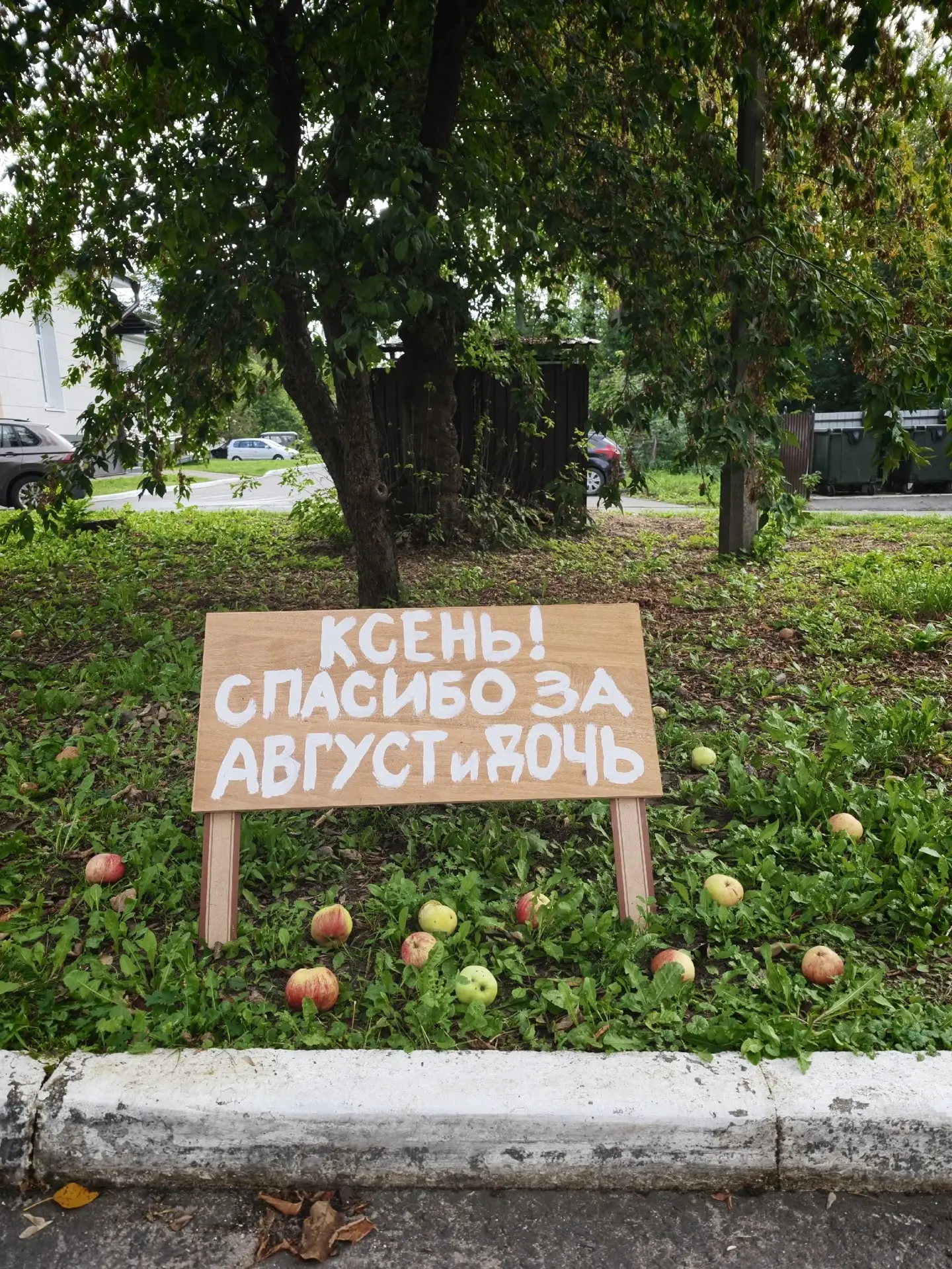 Милоты вам в ленту