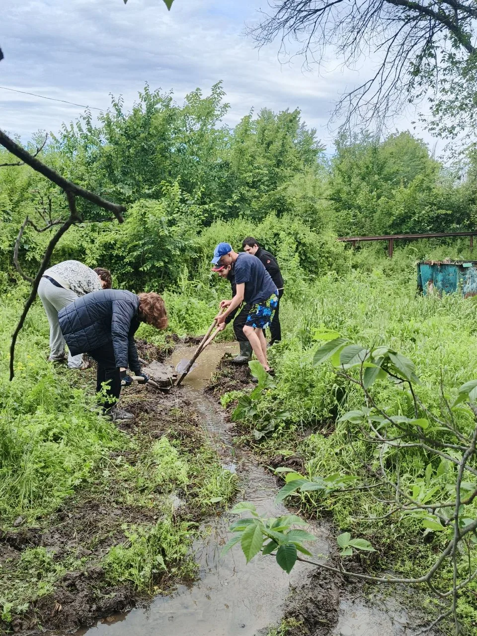 🌳 **Школьный сад: забота, которая не знает каникул**