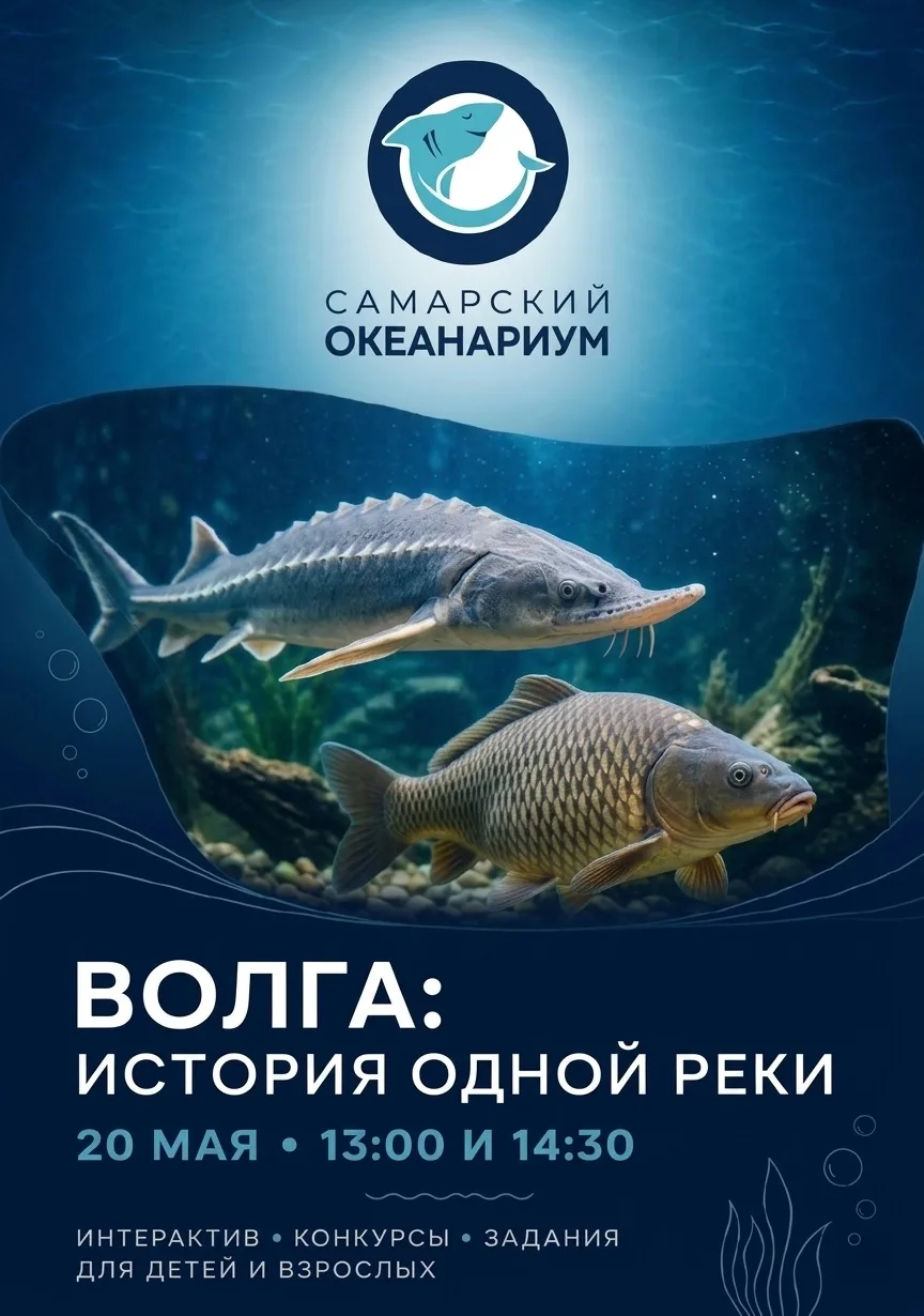 🌊 ДЕНЬ ВОЛГИ