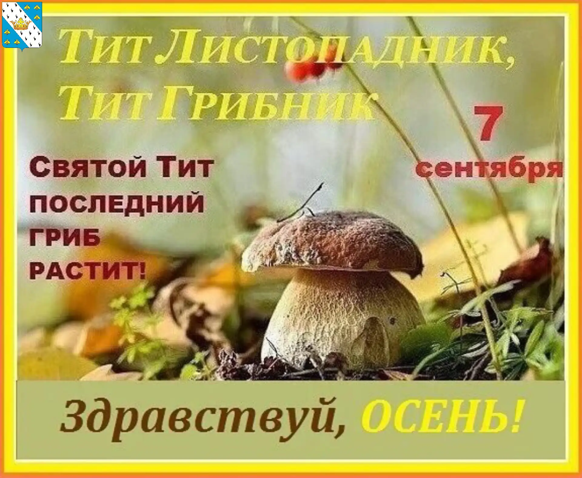 👋С началом рабочей недели, друзья!