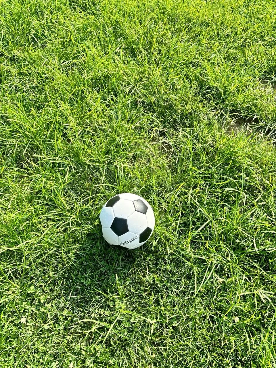 ⚽️ Футбольные мячи были черно-белыми из-за телевидения
