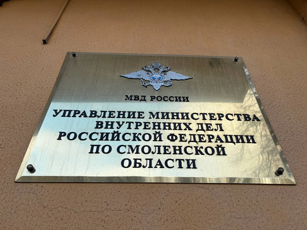 В Смоленске задержали подозреваемого в убийстве сожительницы