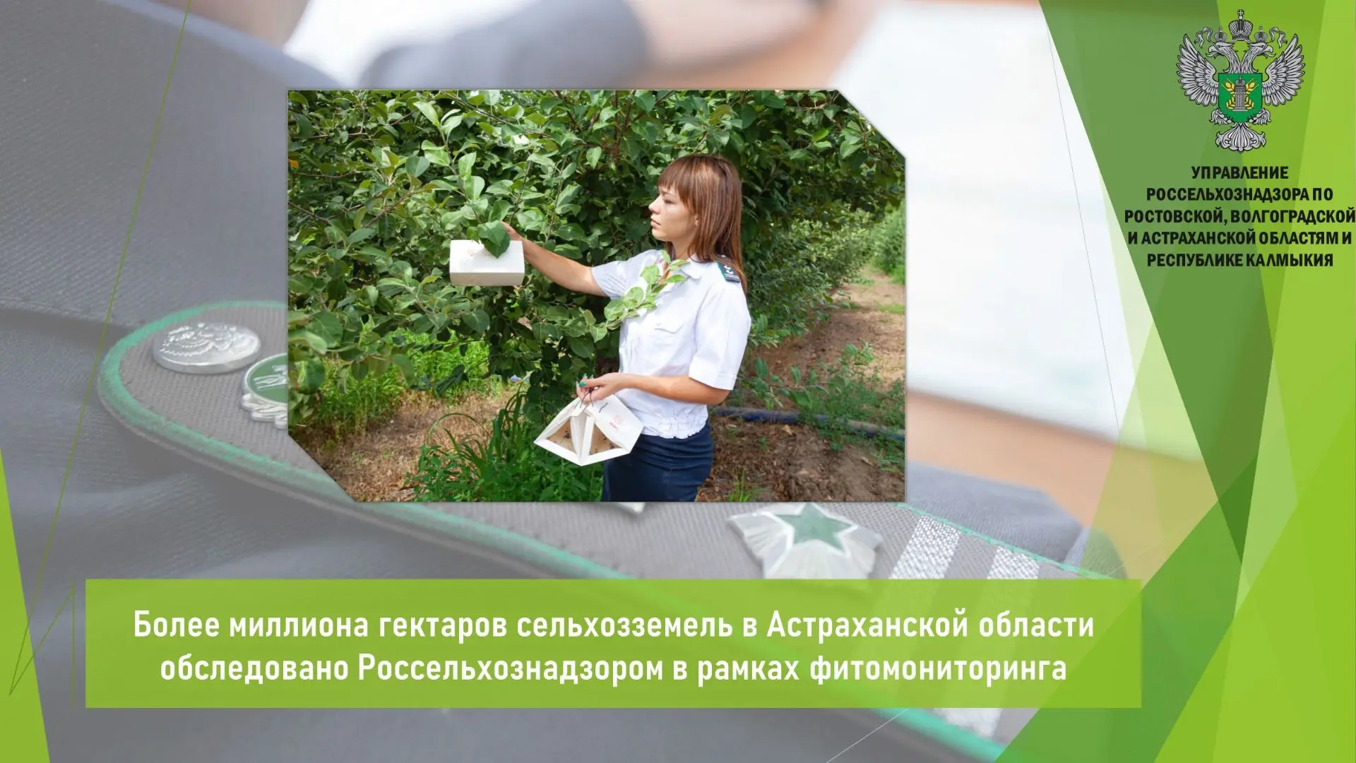 ✅ По состоянию на 26 августа Управлением Россельхознадзора обследовано 1,1 млн. га земе...
