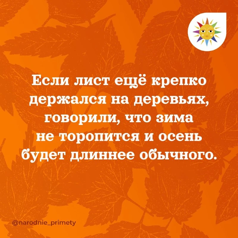 🌞Народные приметы