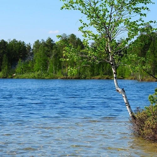 🌲Ямальцам до конца лета ограничили походы в лес

С 19 июня по 30 августа в округе действует особый 