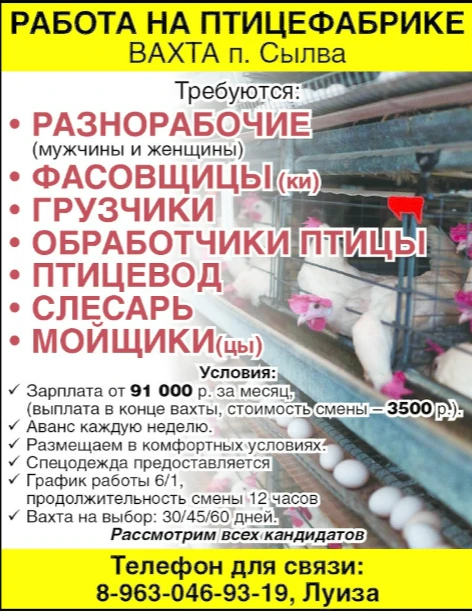 РАБОТА НА ПТИЦЕФАБРИКЕ ВАХТА п. Сылва. Требуются: