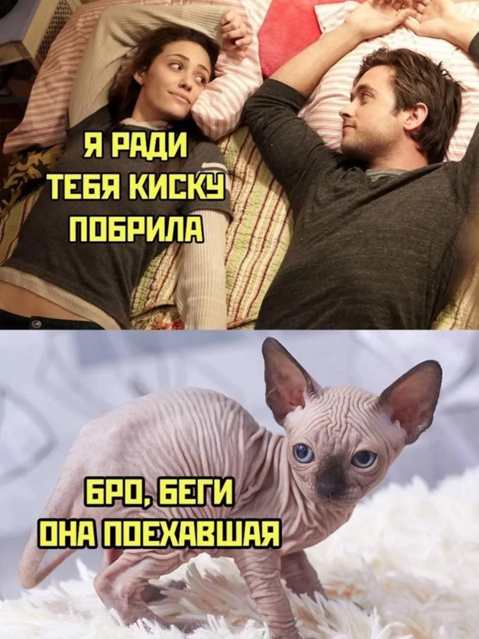 Другие наши каналы ❗