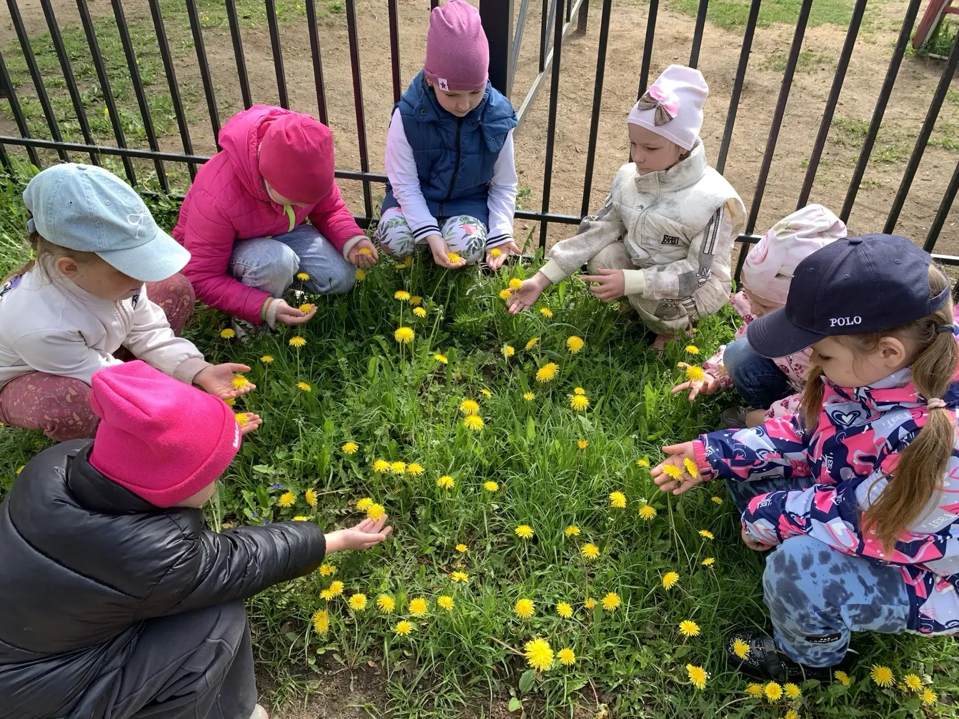 🔷13 мая - Всемирный день одуванчика 🌼 🔹В ЦРР - детский сад № 41 р.п. Петровское сегодня был очень яр