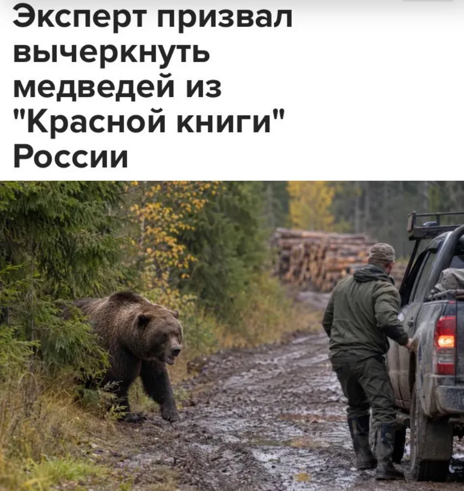 ❗️«Эксперт призвал вычеркнуть медведей из «Красной книги» России»: Экстренным службам с...