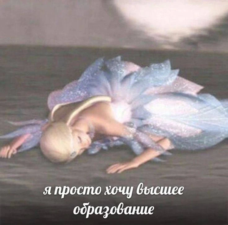 Цены на обучение в вузах Краснодара снова выросли

В среднем за год учёба обходится в 200 тысяч ₽, н