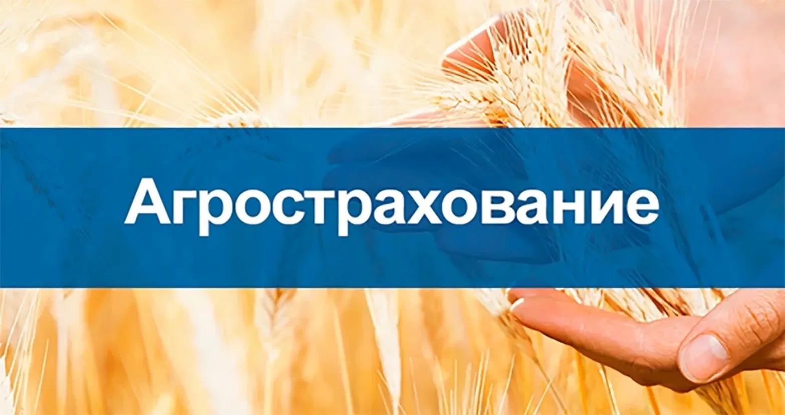8 апреля 2026 года присоединяйтесь к онлайн-семинару на тему «Организация страхования в АПК с исполь
