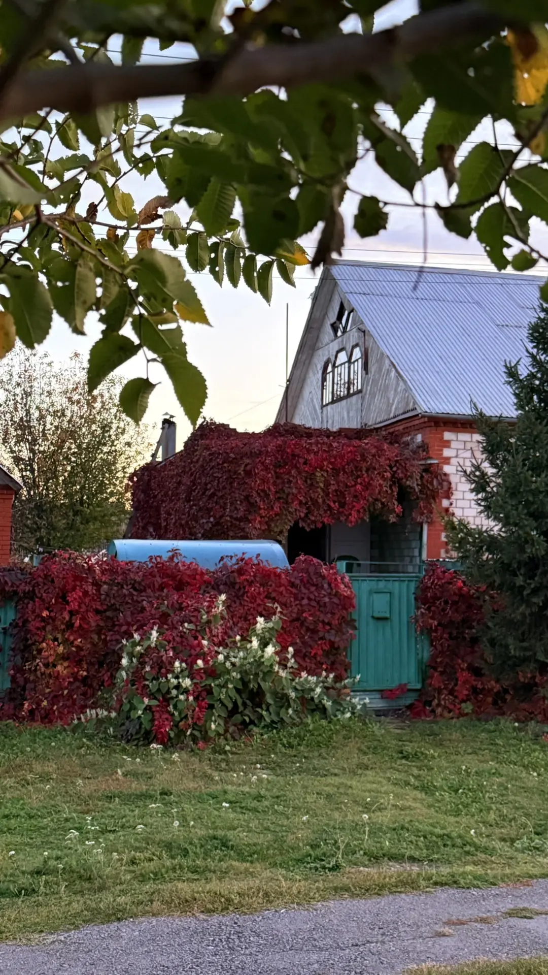 У мамы ❤️